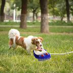 Interactive Water Fountain for Dogs