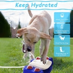 Interactive Water Fountain for Dogs