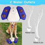 Interactive Water Fountain for Dogs