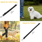 Adjustable Dog Seat Belt Leash