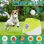 Automatic Ball Launcher for Dogs