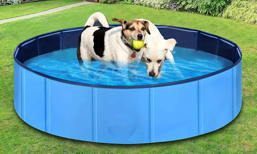 Premium Foldable Pet Pool