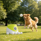 Automatic Ball Launcher - premium lifestyle photo