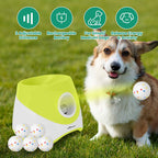 Automatic Ball Launcher for Dogs
