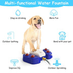 Interactive Water Fountain for Dogs